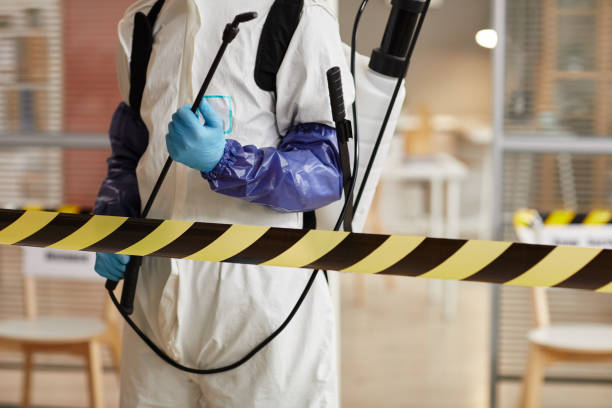 Professional Sewage Cleanup technician working in Chester, MD